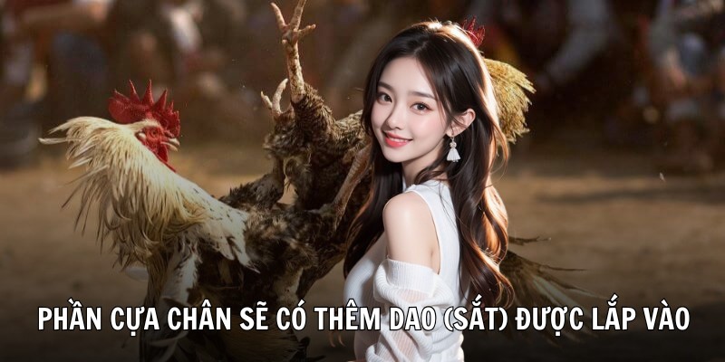 Phần cựa chân sẽ có thêm dao (sắt) được lắp vào